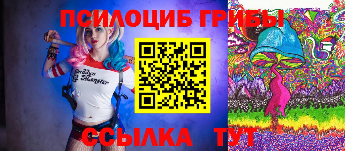 Галлюциногенные грибы MAGIC MUSHROOMS  Вход с VPN  Ессентуки 